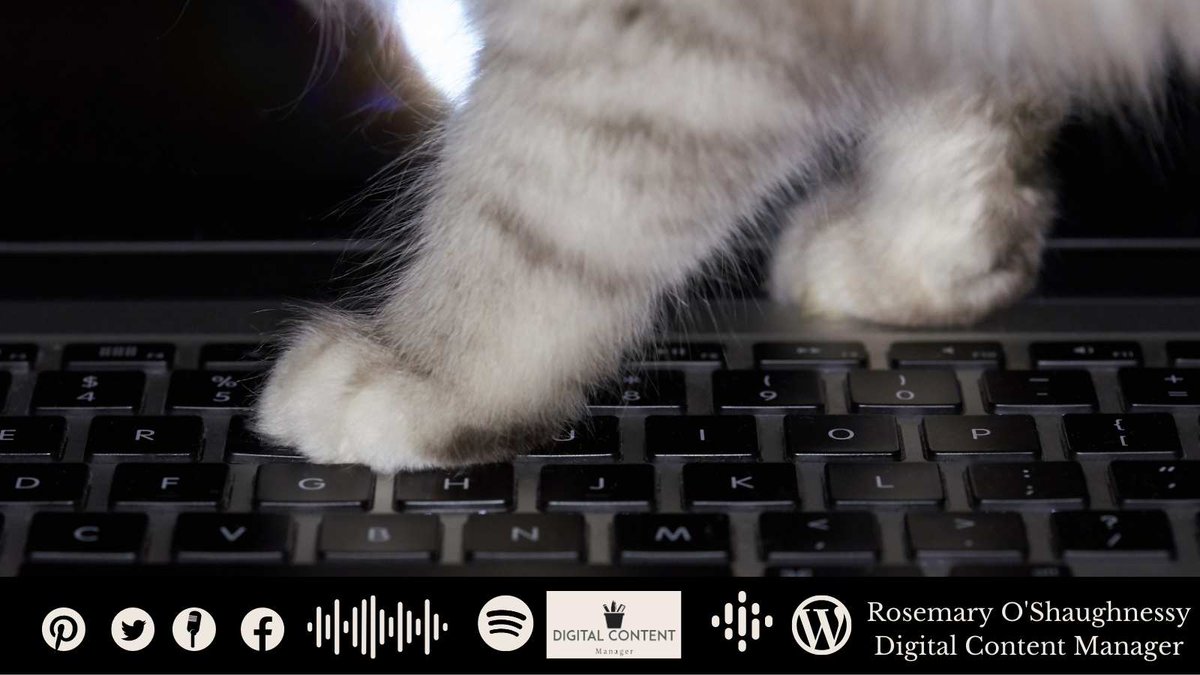 RosemaryOSha's tweet photo. Hazards of working remotely and from home - did you know there are online tools to protect your computer from cats paws?
#workingfromhome #remotework #digitalcontentmanager #flexiwork #freelance #freelancer #cats #catsatwork https://t.co/6oCZCykNSu