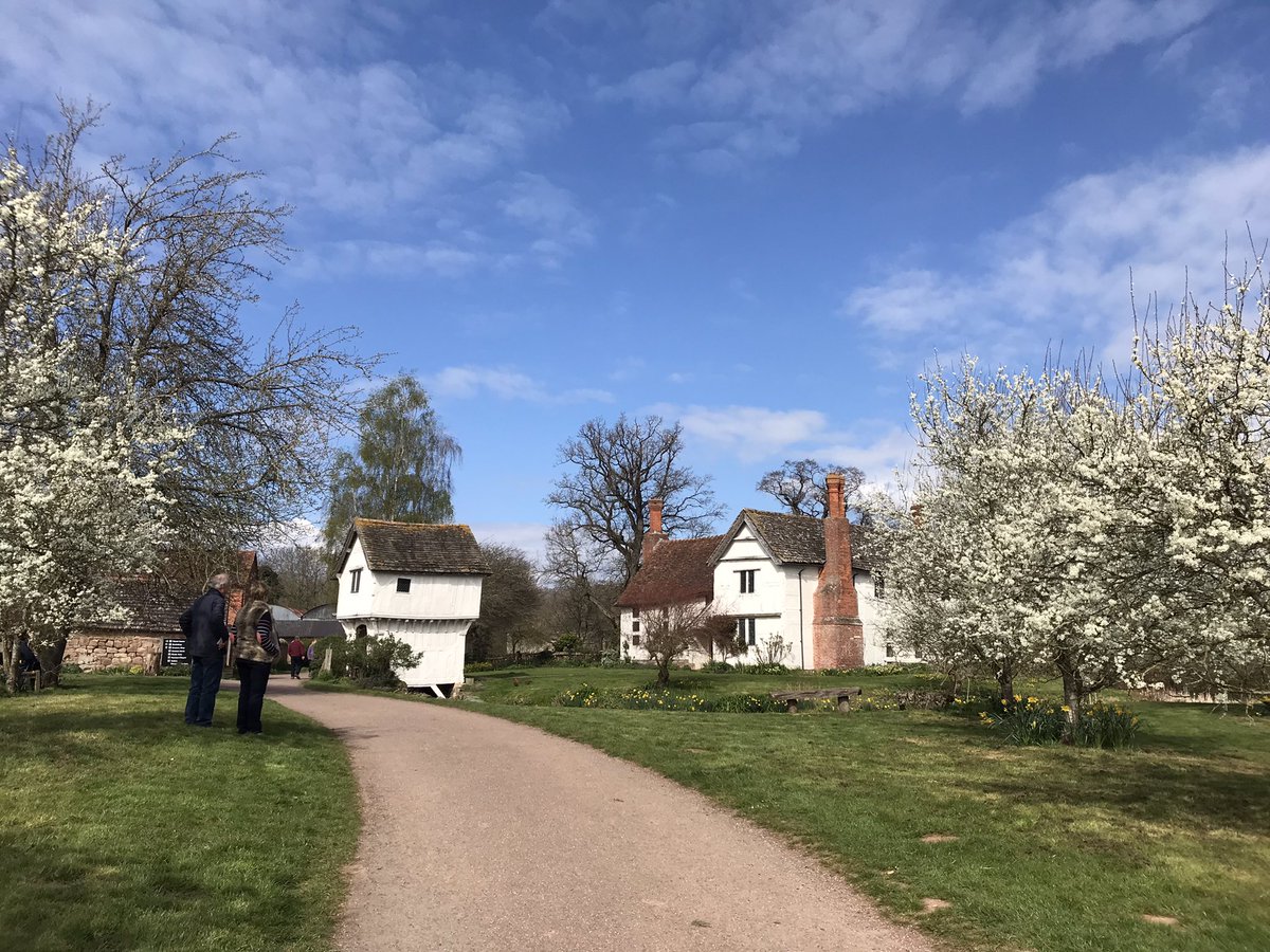 Bit of #BlossomWatch at @NT_Brockhampton on Sunday. Beautiful damson trees in bloom #OrchardEnvy