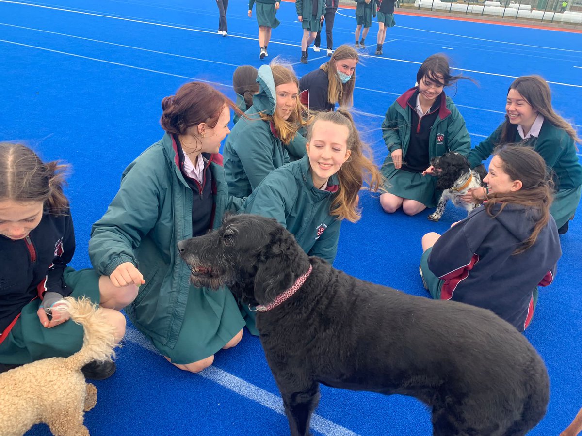 Loreto Abbey Secondary School, Dalkey tweet media
