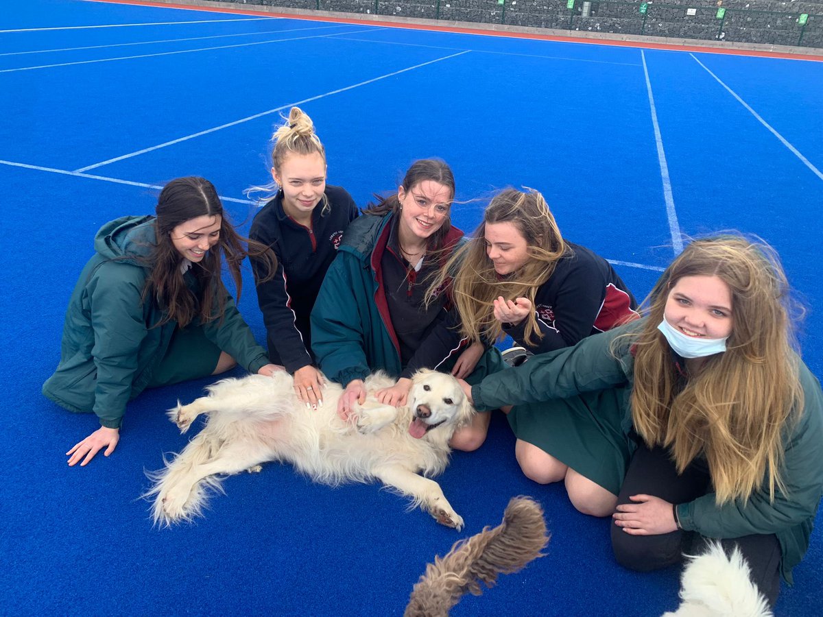 Loreto Abbey Secondary School, Dalkey tweet media