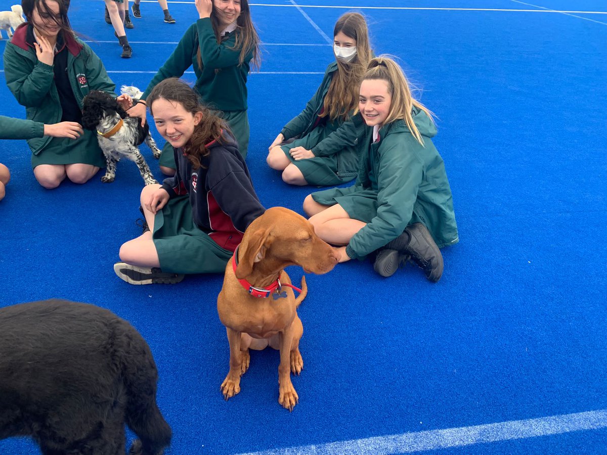 Loreto Abbey Secondary School, Dalkey tweet media
