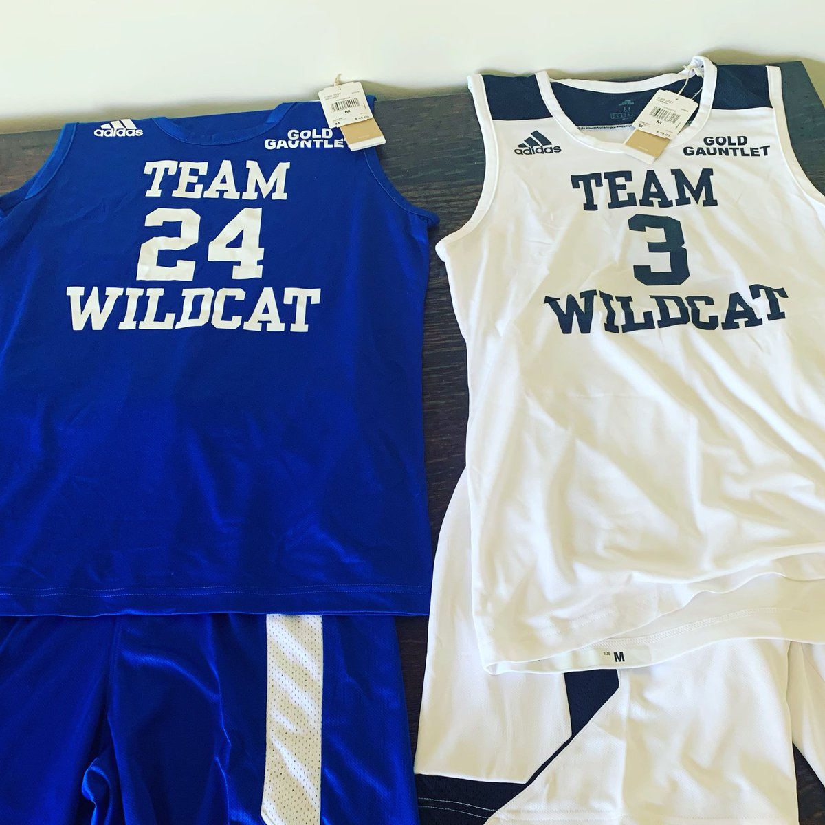 Team Wildcat tweet media