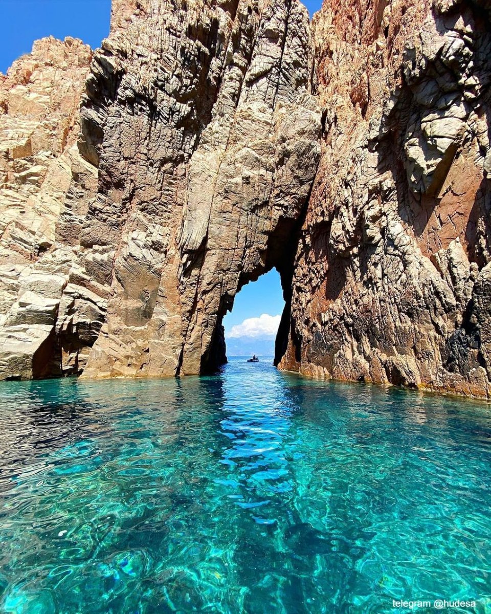 Hasina (@hasina75325334) on Twitter photo 