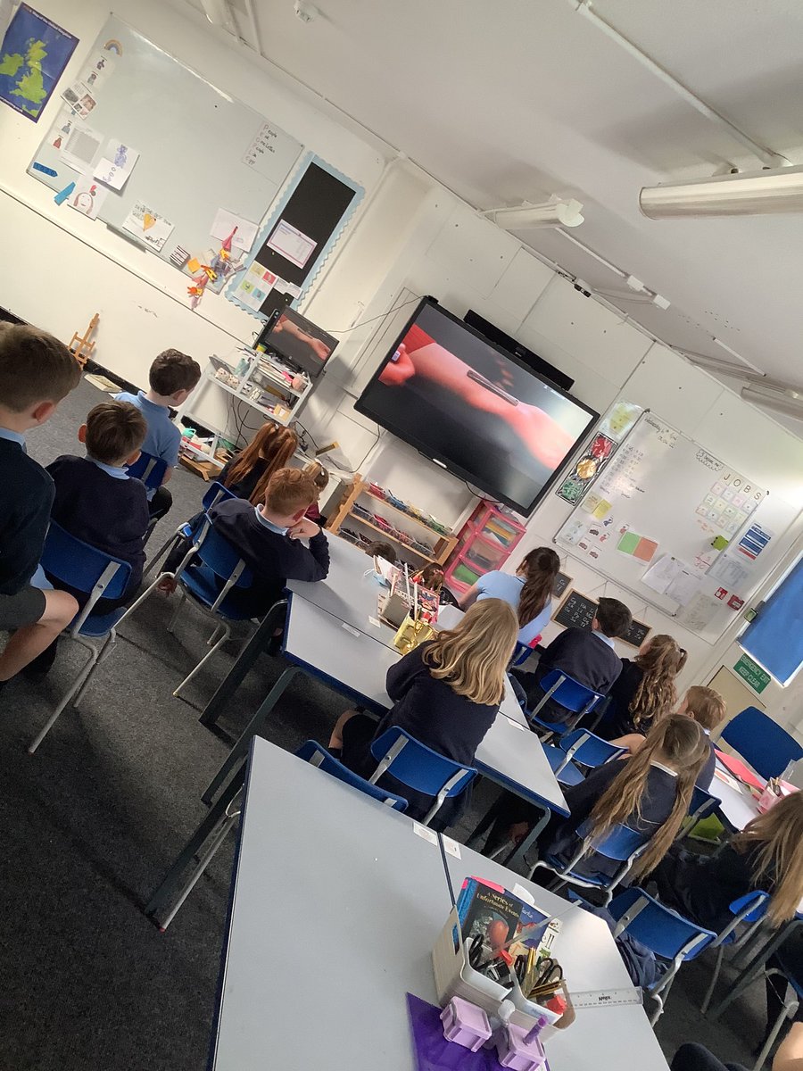 raeburnprimary's tweet photo. This afternoon, Y4 have watched the Bone Detectives. We have been finding out more information about the Bronze Age skeleton: AVA.  #RaeburnYear4 #RaeburnHistory #BoneDetectives https://t.co/4xH16Ctm7V