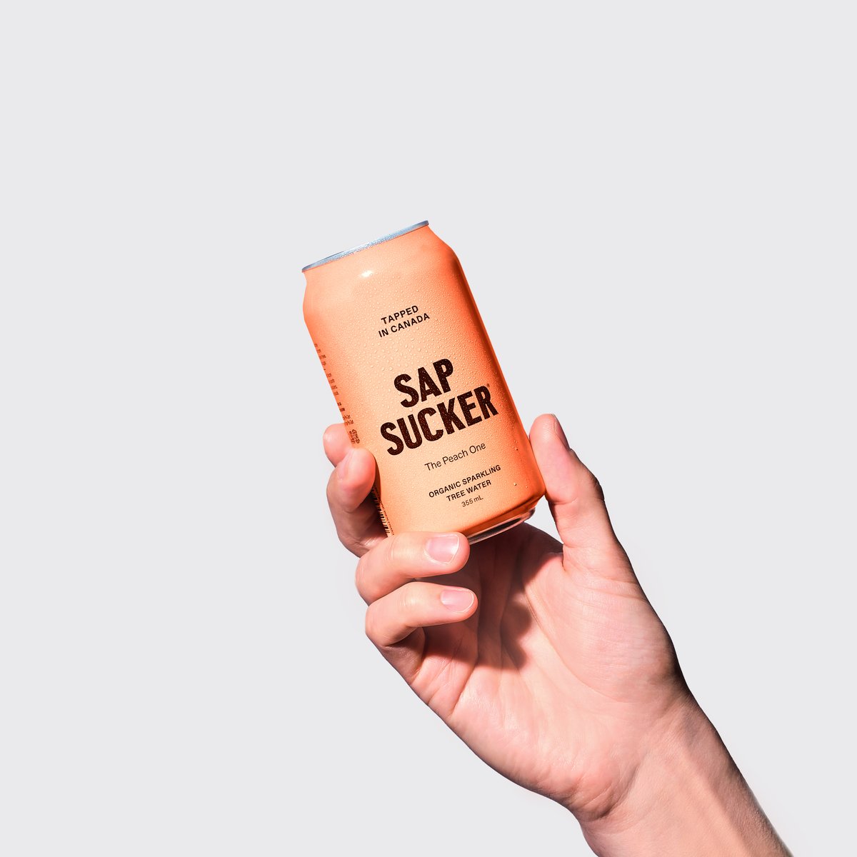 Sapsucker – Organic Tree Water tweet media