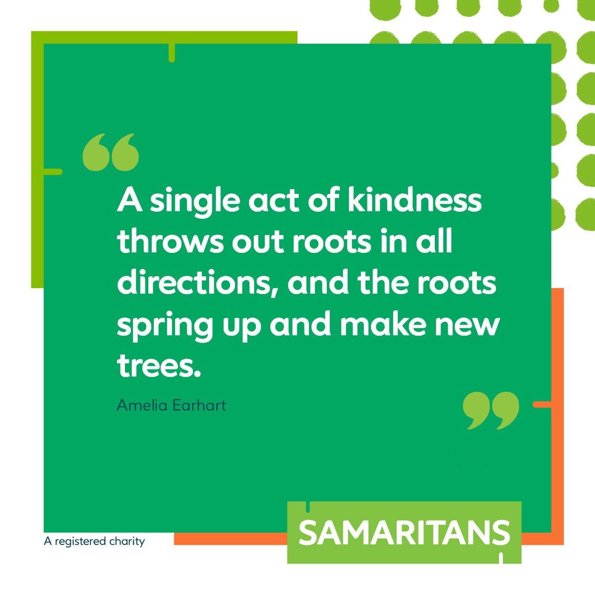 Never underestimate the power of being kind 💚🌳 #WednesdayWisdom