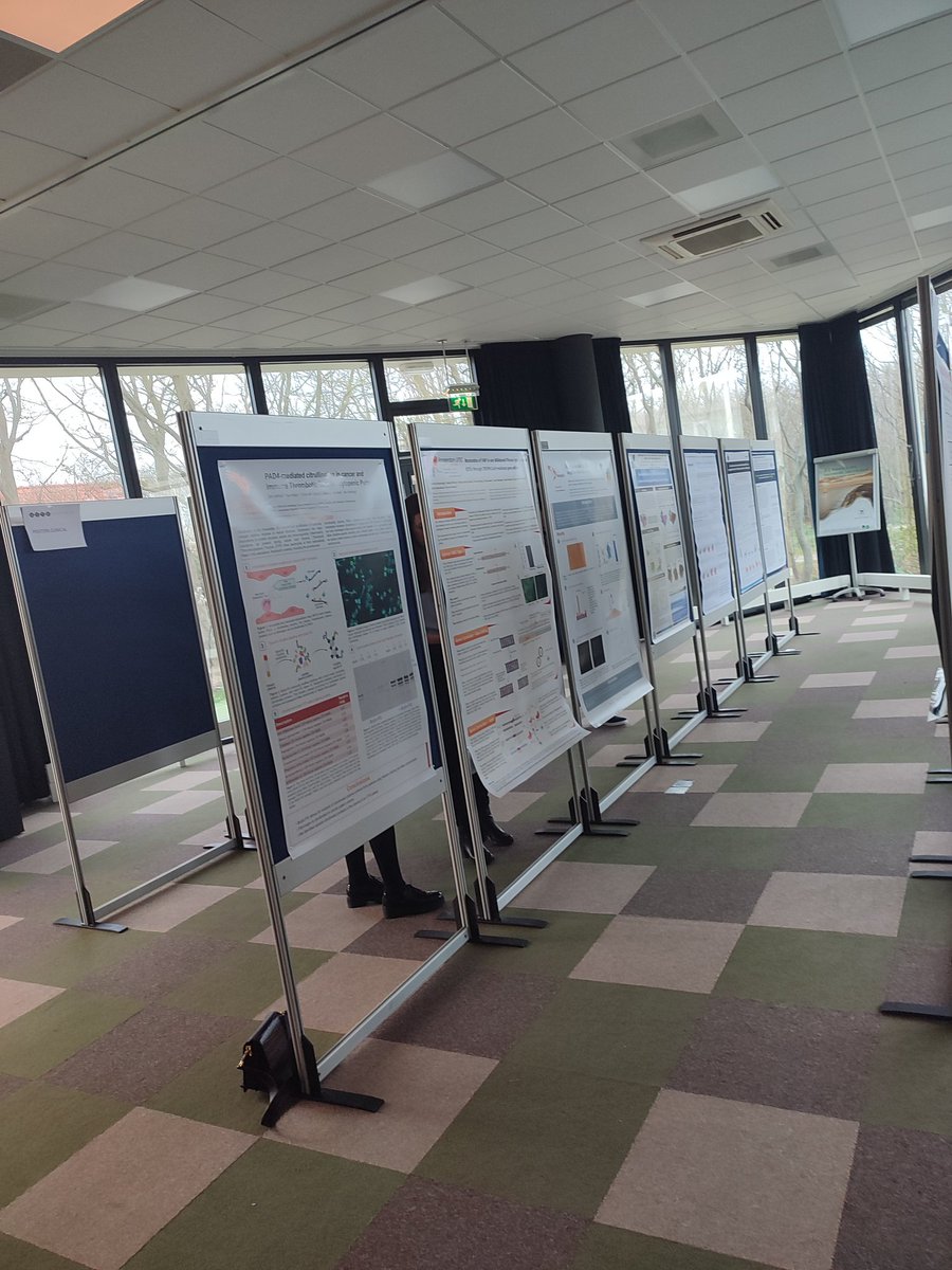 YSLUMCNVIVGNVTH's tweet photo. Preparation for the NVTH poster session later this afternoon #NVTH #symposium #Koudekerke https://t.co/MlJ6NINlt9