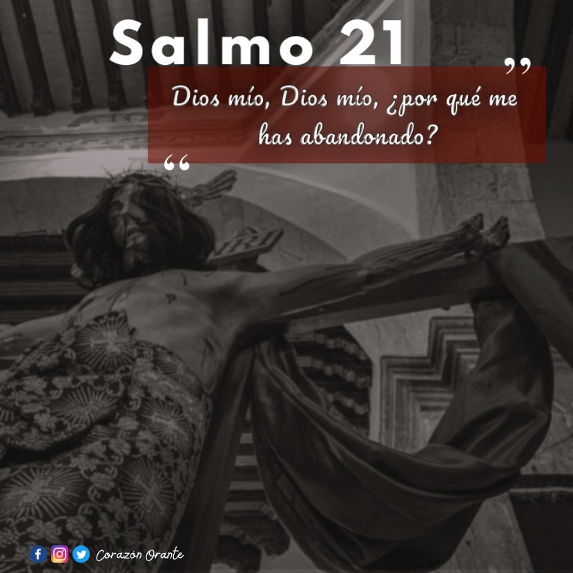 corazon_orante's tweet photo. ¿Listos para domingo de ramos? 🌿
Hoy es miércoles de adelanto Dominical.
#RetratAndo... Dios en cada ángulo💜
#CorazonOrante🧡 https://t.co/8ain82J5vO