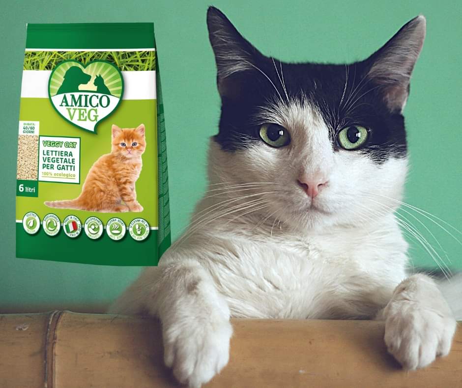 amicoveg's tweet photo. Rispettare l'ambiente passa anche dai piccoli gesti: per l'igiene del tuo quattrozampe scegli la lettiera #vegetale 100% #ecologica VeggyCat #AmicoVeg! https://t.co/6SoZTsqvjV