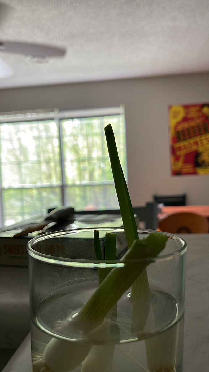 Aloysius tweet media