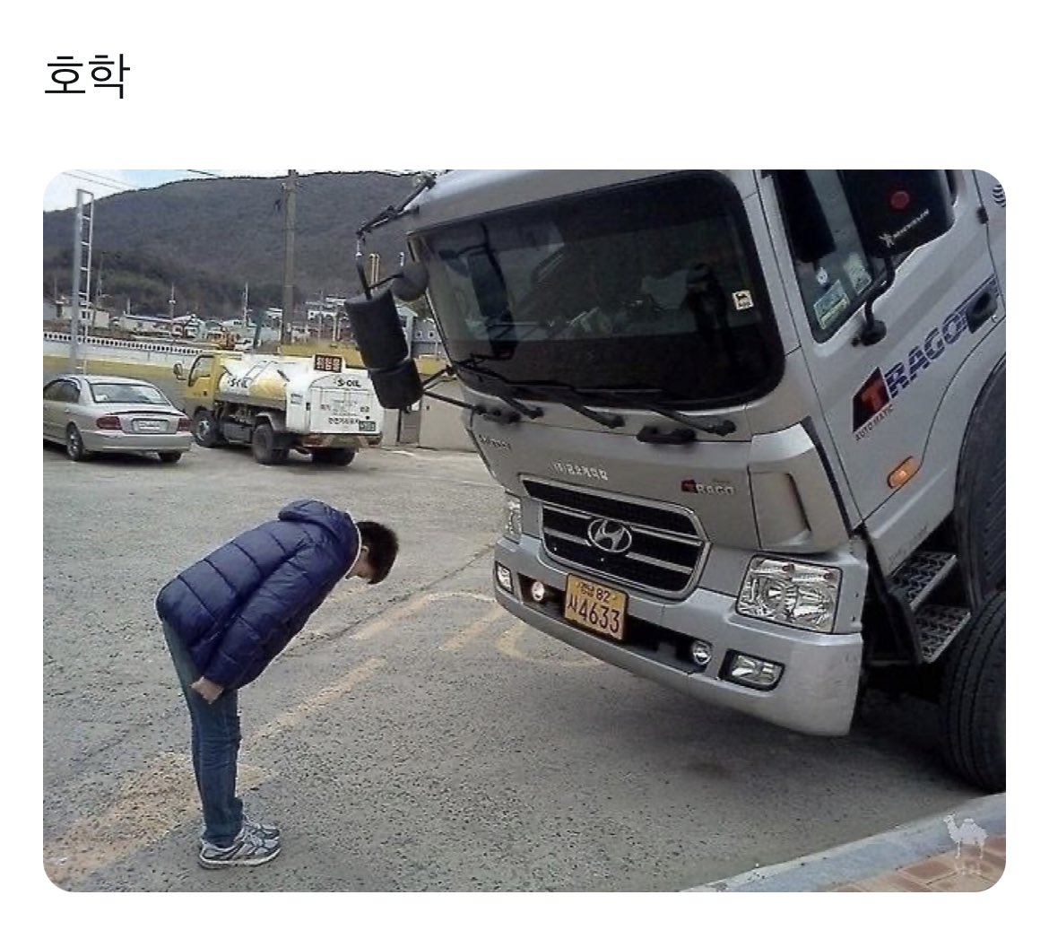 maeisfree's tweet photo. @ 호학 : 웃긴거 학 시킴 자기는 개멋진거 하고 https://t.co/gjPU7WcvZx