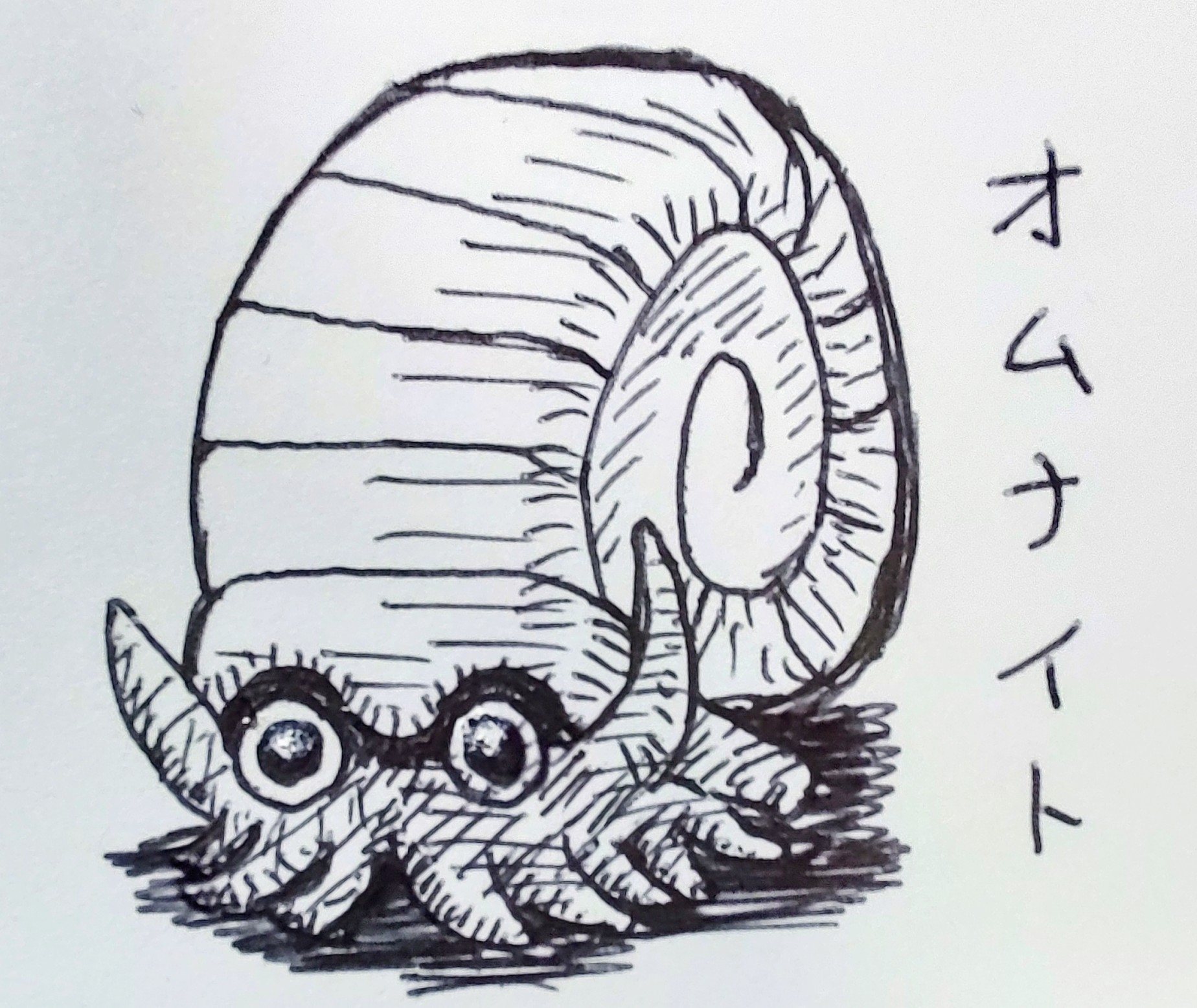 魔王おゆのみ カイリキー ゴーリキーから進化して ベルトがなくなった というのから ダイパあたりからあるのが正式になった これは模様であるらしく 色々とたくましい肉体も雌雄で形態変化もない T Co 4iake1emw7 Twitter