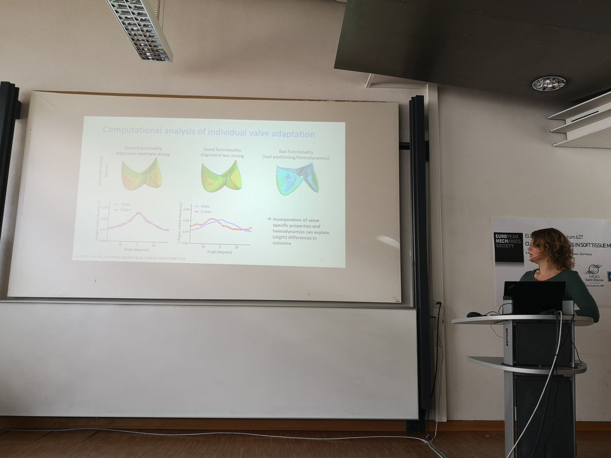 StphaneAvril1's tweet photo. #euromech colloquium on soft tissue mechanics in Frankfurt just started. https://t.co/N9XygIOeIo https://t.co/Udf1VRDgoF