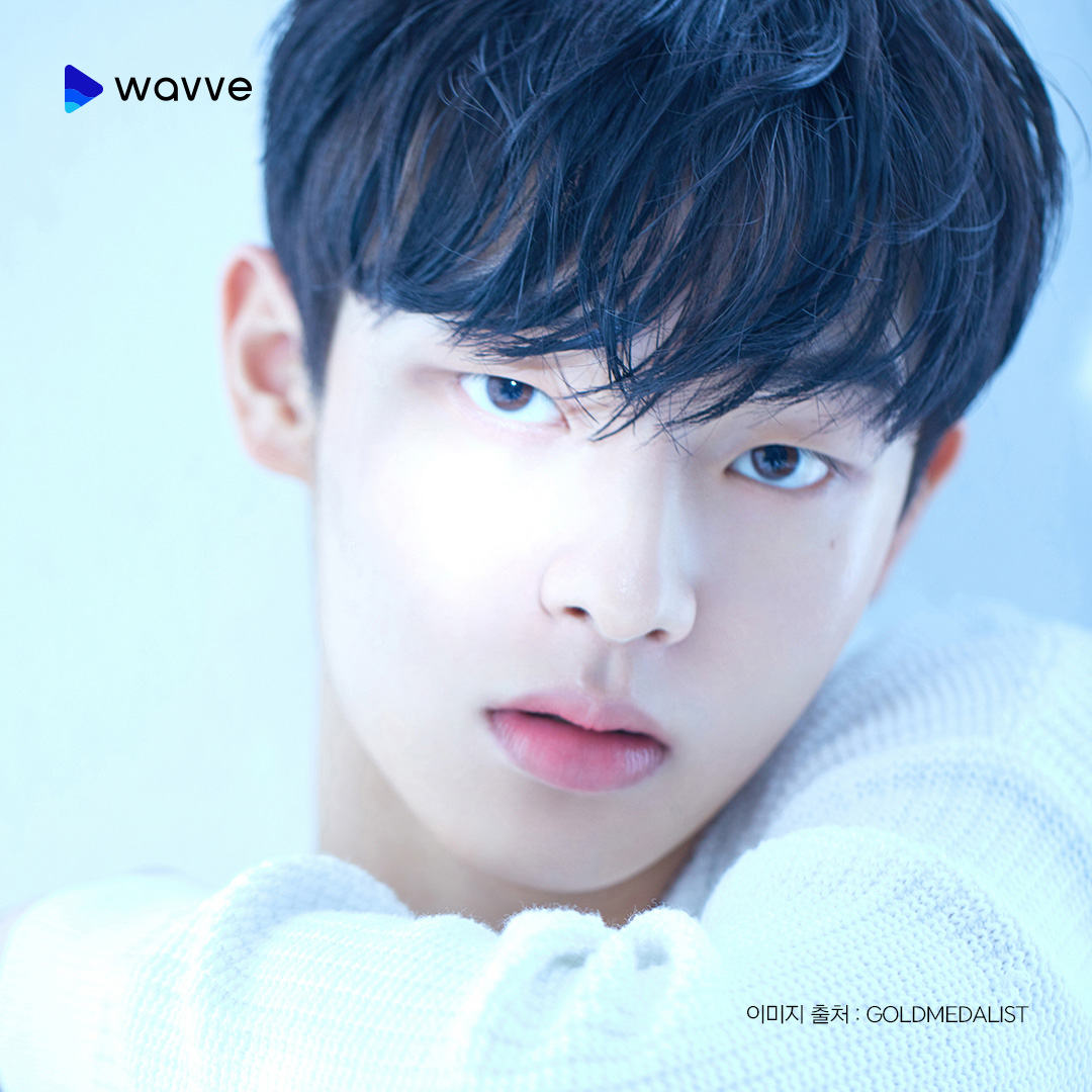 Wavve (웨이브) tweet media