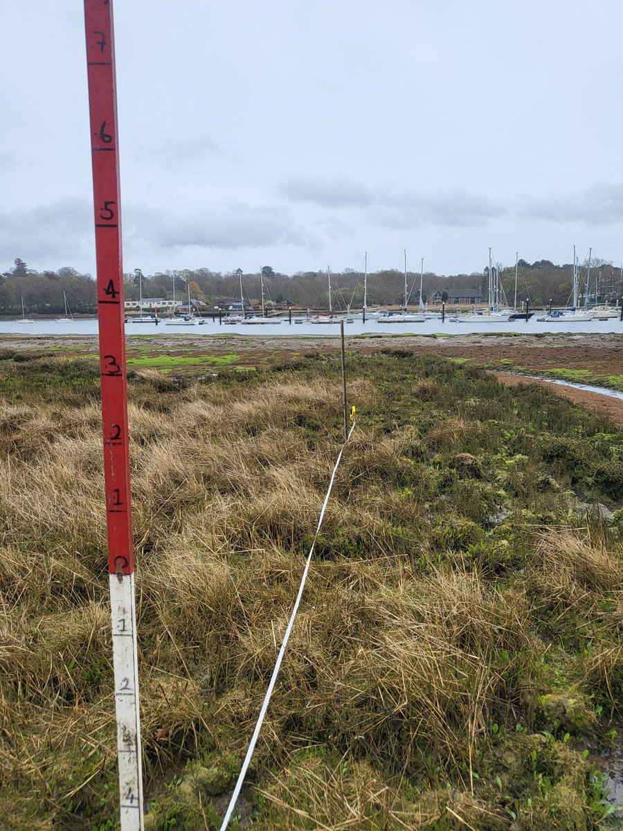 Early start today for #fieldwork on the #saltmarsh with <a href="/marinebio_zoe/">Zoe Morrall</a>. Is it obvious which of us is a morning person and which isn't?