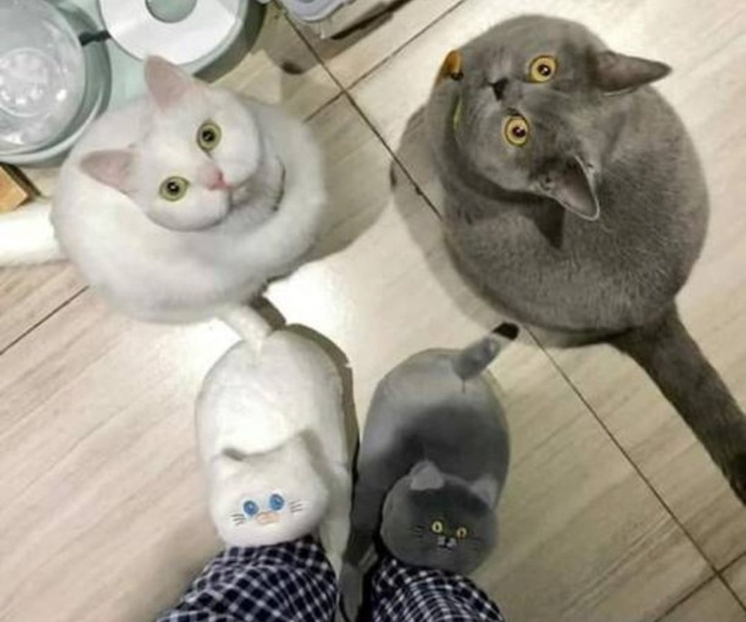 FPqcjBhXIAMGuL4