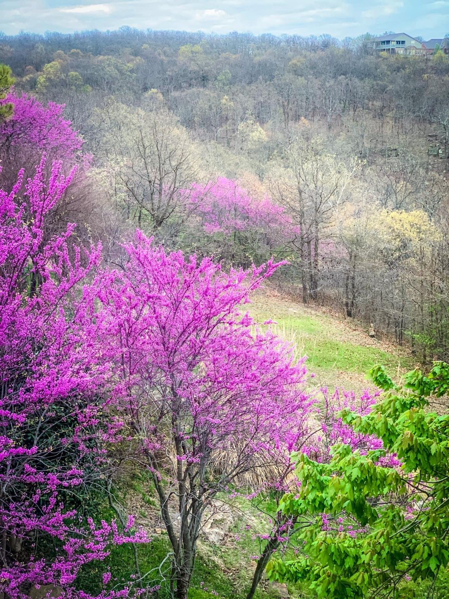 Visit The Osage tweet media