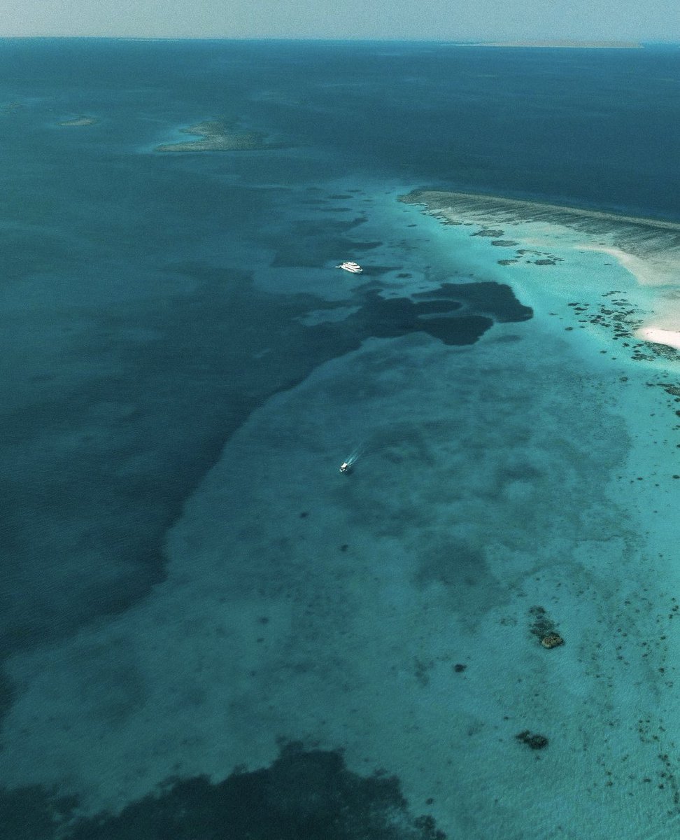 AroundSaudi's tweet photo. Crystal clear water 🌊 
Umluj beaches, #Saudi Arabia https://t.co/i0PCQ0v65L
