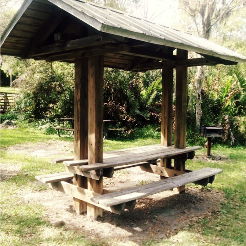 GCAatUSF's tweet photo. Spring Picnic Event: Join us this Friday, April 9th from 3-6 PM, Lowry Park at Shelter 119, located on 7525 N Boulevard in Tampa https://t.co/o6e7U2VdB0