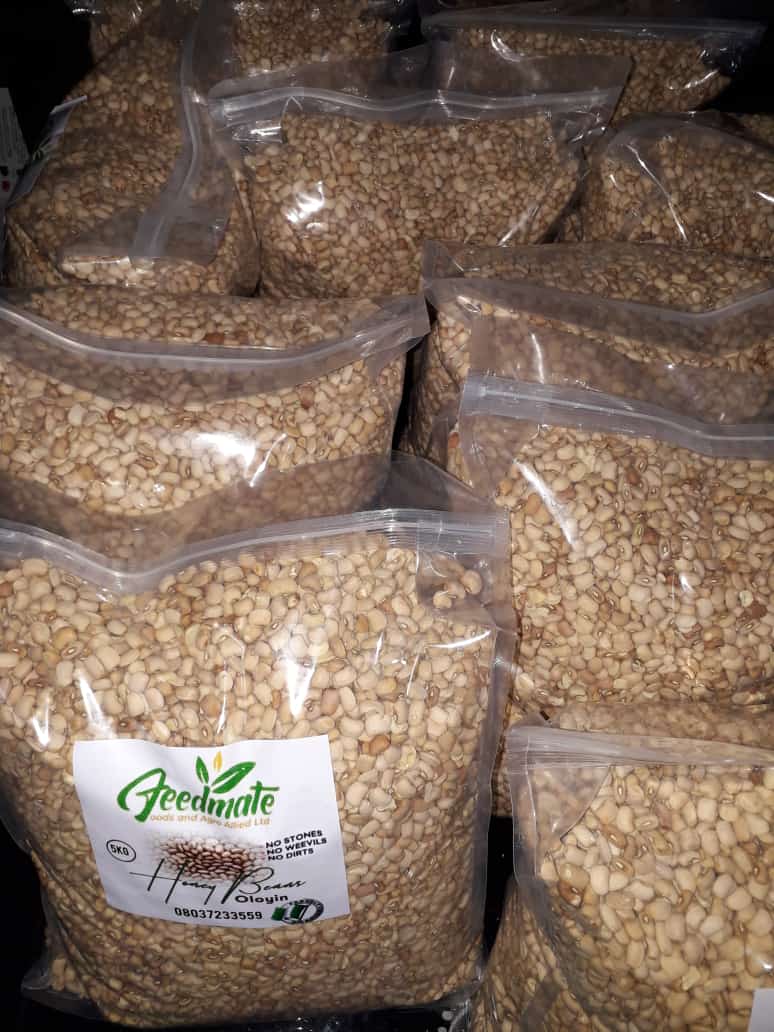 feedmatefoods's tweet photo. Have you been searching for stone free and delicious honey beans ? Look no further, Feedmatefoods are
your surest plug😀
#feedmate #foodpost #beans #beansbeansbeans #honey #honeybeans #foodlovers #kitchenbowl #kitchentrends
#foodphotography #foodpost #trending #trendingnow https://t.co/Tf8sutg67l