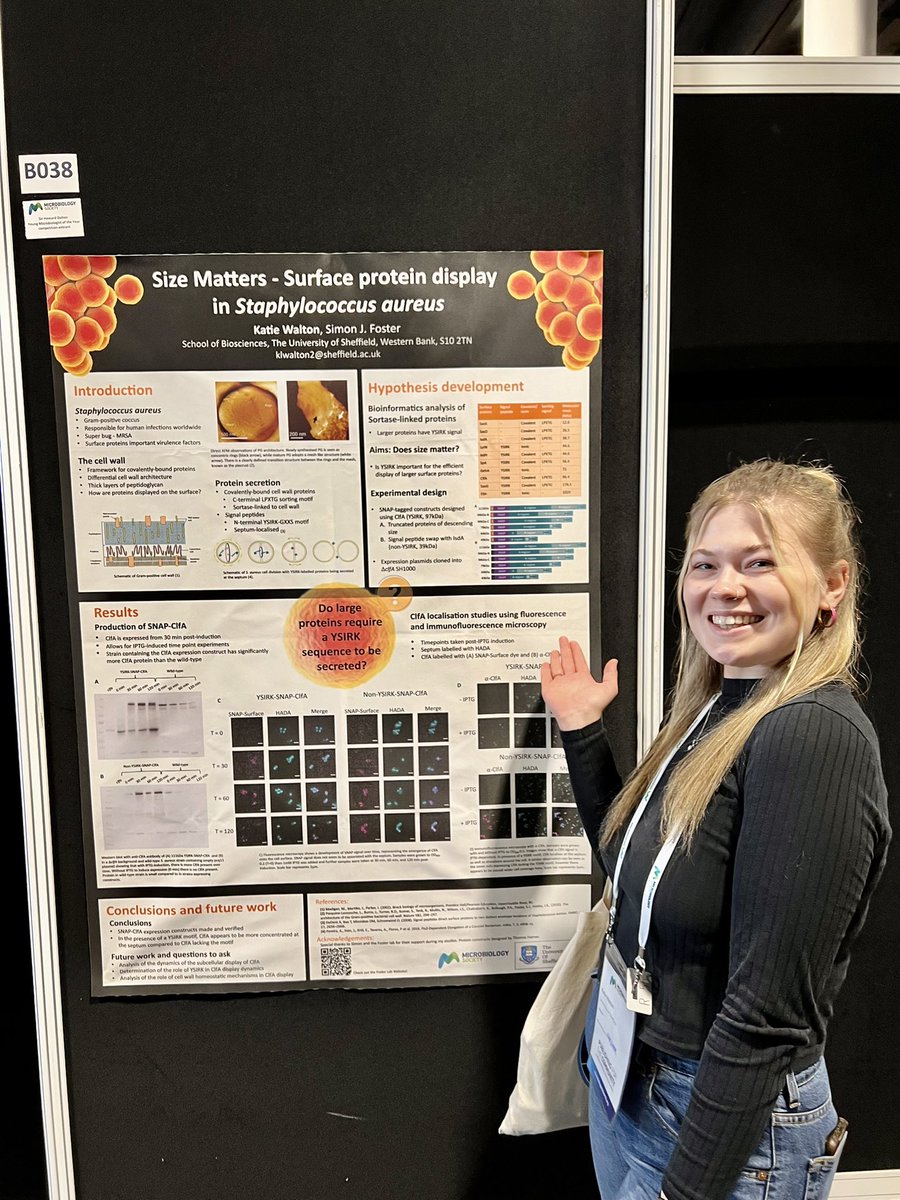 Foster Lab (@foster_lab) on Twitter photo Make sure you visit the two fantastic #staph research posters from the lab at #Microbio22 <a href="/callumjpr/">Dr Callum Portman Ross</a> B016 with protein interactions in a superbug and <a href="/katiewalt0n/">Katie Walton</a> B038 with surface protein display in staph Make sure you visit the two fantastic #staph research posters from the lab at #Microbio22 <a href="/callumjpr/">Dr Callum Portman Ross</a> B016 with protein interactions in a superbug and <a href="/katiewalt0n/">Katie Walton</a> B038 with surface protein display in staph