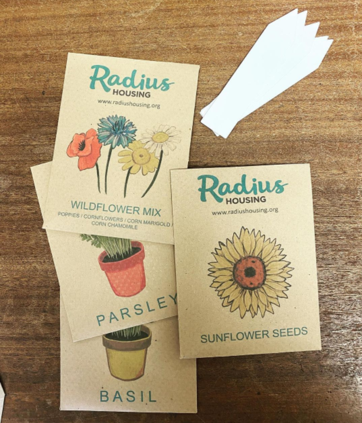 RadiusHousing's tweet photo. The second year of our #BiodiversityProject is well underway with pupils at Churchtown Primary showing off their green fingers! 🌱🍃
What a great way to celebrate #CommunityGardenWeek🌳
#WeAreRadius #communityengagement #gardening https://t.co/9T08v05Lm8