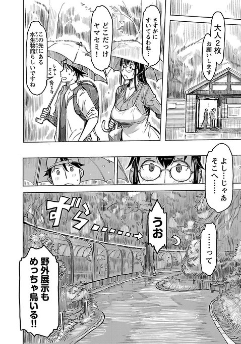 井の頭公園のヤマセミ
人が多く見に来てると上のほうに隠れてしまうので

平日の遅めの時間とか大雨とか
人の少ない時だと会える確率高い気がします

自分が行ったのはもう3年も前だけれど
まだ元気にしてるのかな 