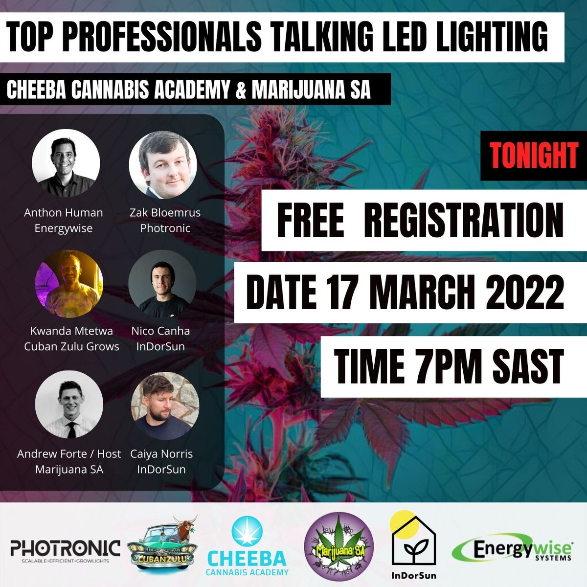 HARVEST SEASON is here!🌳 - mailchi.mp/8459fb59e282/s…