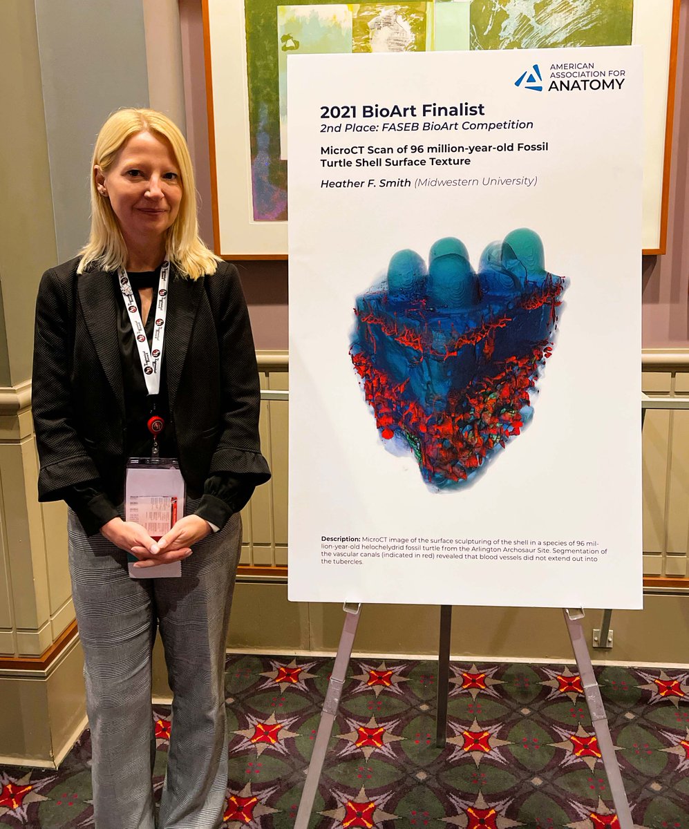 heatherfsmith's tweet image. Heading home from #Anatomy22 today. It was wonderful connecting with colleagues, hearing about the latest research, and discussing recent developments at @AnatRecord. I look forward to seeing everyone next year in Washington, DC. #ExpBio @AnatomyOrg