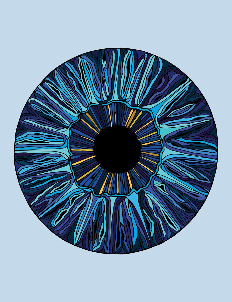 anatomicalsales's tweet photo. 💓 
 
Eye #50 just sold for 0.05 ETH ($165.96)
-The Anatomical Project 
https://t.co/cO3WYhjxk5 https://t.co/bdusMCXLb2
