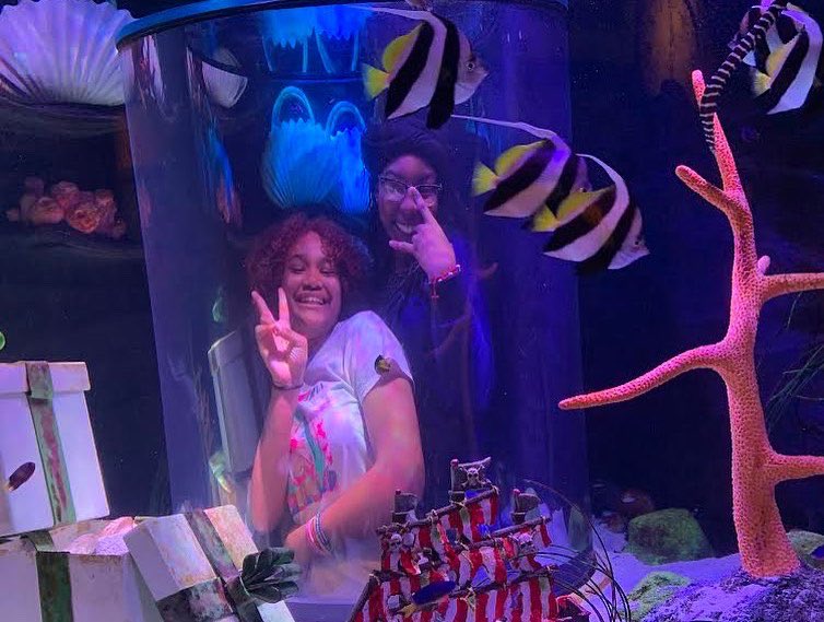 BWA09x323's tweet photo. Field trip to the American Dream Aquarium 🐠🐠 More info at https://t.co/7exGWeS6rE @ucs_uft @CSD9Bronx #NYCDistrict9 #BronxCouncilDistrict16 #BronxCommunityBoard4 @NYCSchools @NYCMayorsOffice @DOEChancellor @nycgov https://t.co/EdrIGl3LYW