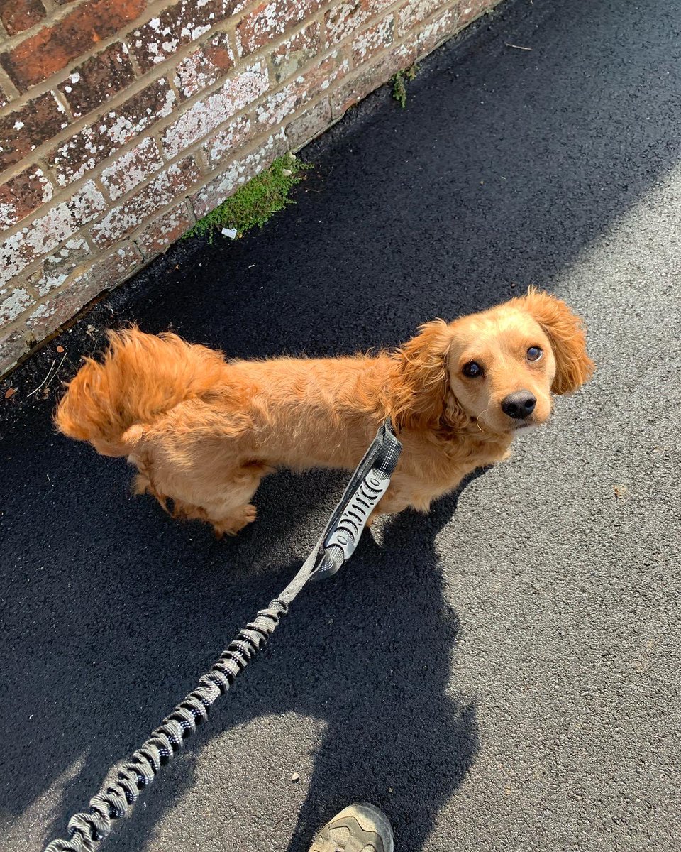 MuddyCuddles tweet media