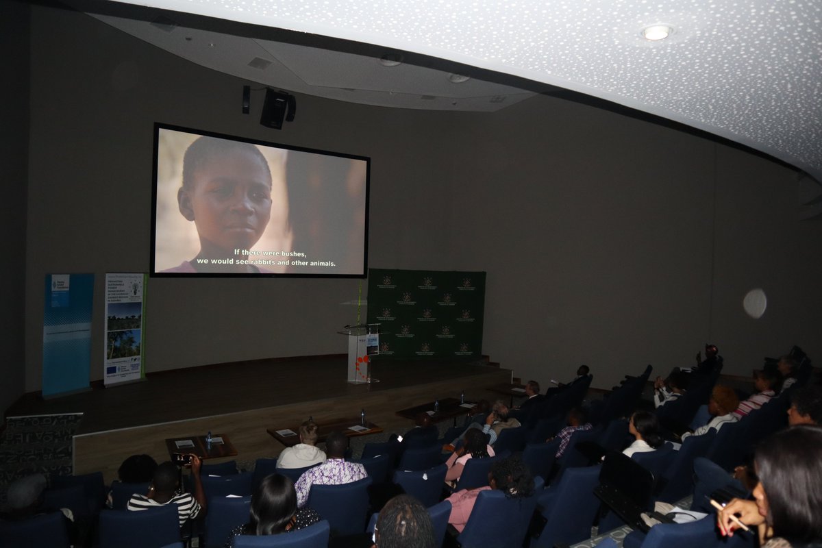 HSFNamibia's tweet image. Succesfully launched the series "Forests of a Desert Land - Stories from Namibia" at NSFAF Auditorium today. You can check out the movie at: youtube.com/watch?v=RlLuCI…
#hsfnamibia #thinknamibia #windhoek #namibia
