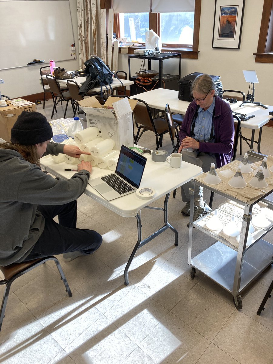 Colorado Macrofunga Project tweet media