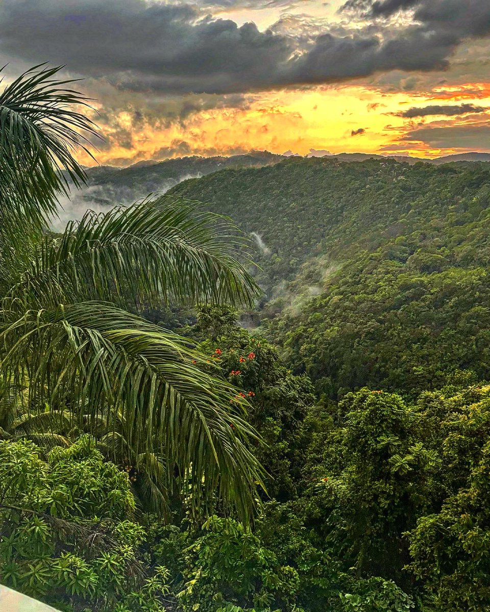 After the rain #jamaica blessed to be here.