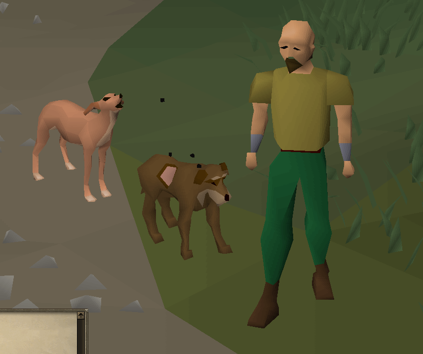 Where Is The Stray Dog In Varrock