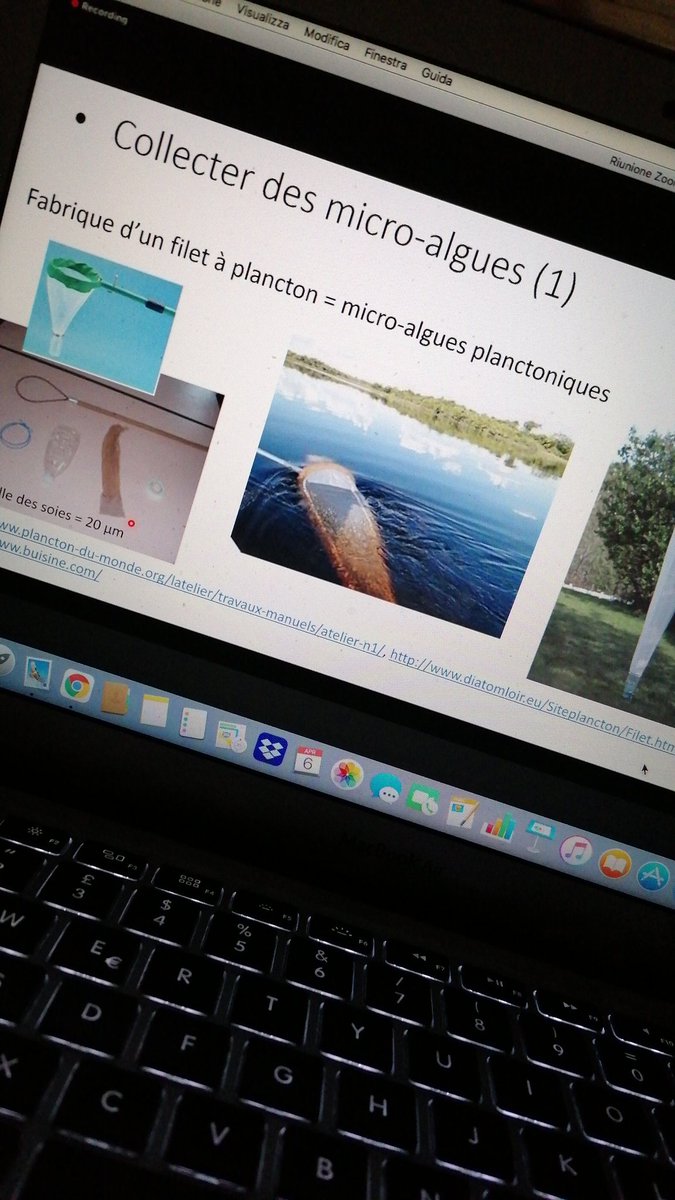 Formazione dal Laboratorio oceanografico di Villefranche-sur-Mer: i super poteri delle micro-alghe.
Grazie a <a href="/AdoptaFloat/">adopt a float</a>