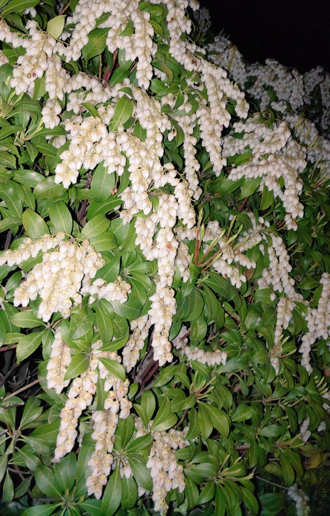 天井裏から愛を込めて Twitter Search Twitter 天井裏から愛を込めて Twitter Search Twitter