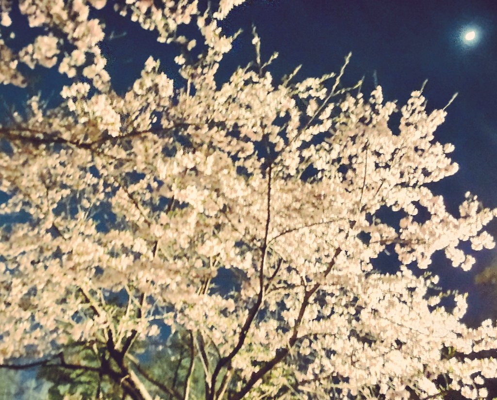 天井裏から愛を込めて Twitter Search Twitter 天井裏から愛を込めて Twitter Search Twitter