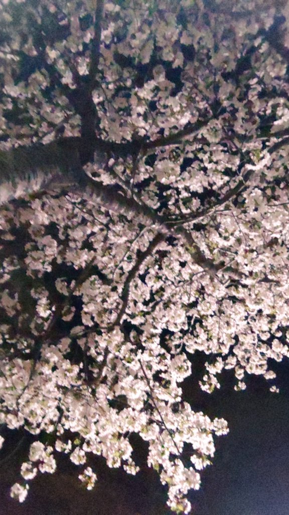 天井裏から愛を込めて Twitter Search Twitter 天井裏から愛を込めて Twitter Search Twitter