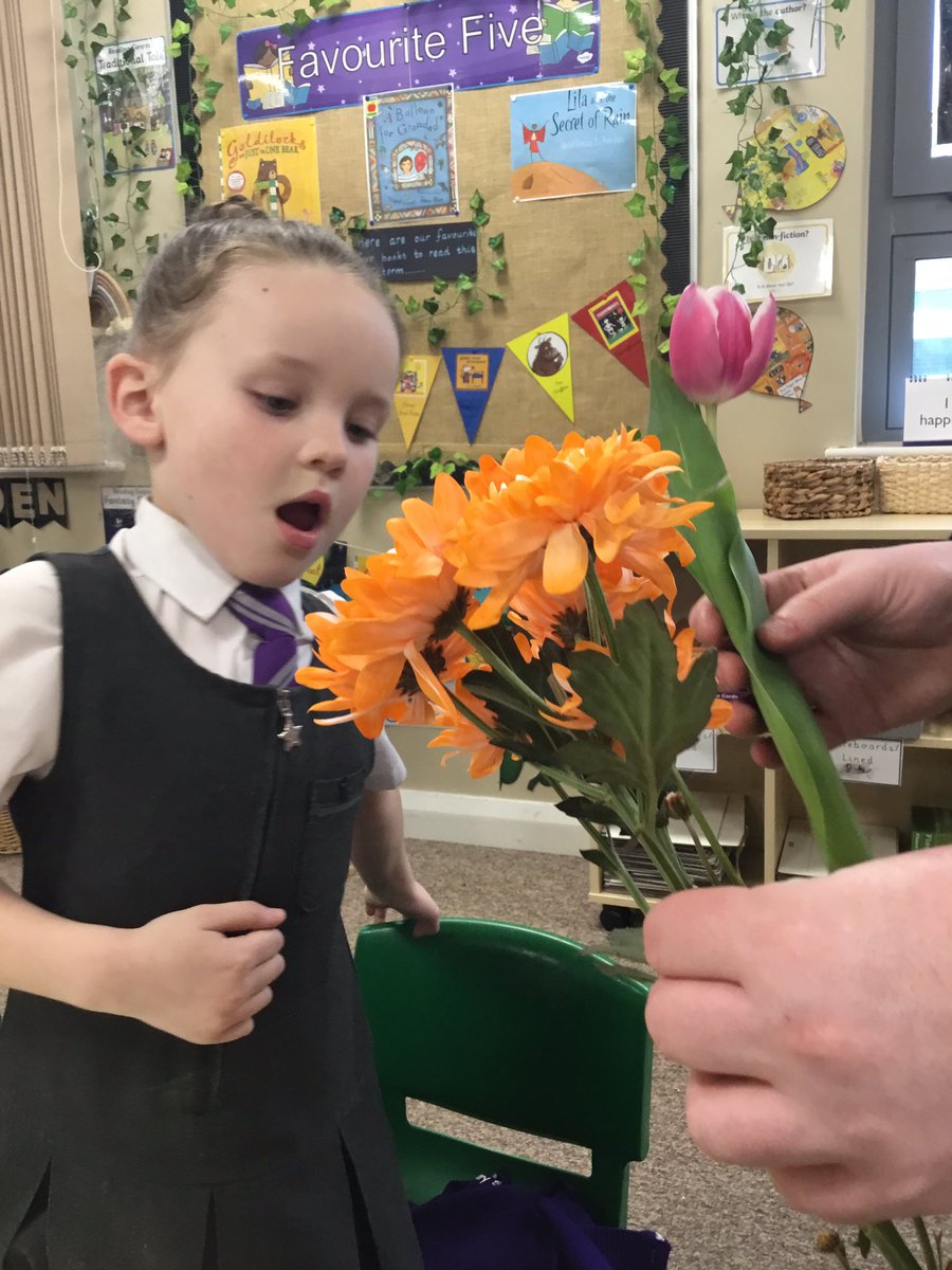 TheTrinityL5's tweet photo. Y1 Science: The children have been observing the trees, plants and flowers during our topic of ‘Seasonal Changes.’ #trinityscience 🌱🌸💐 https://t.co/APcBoi3yEk