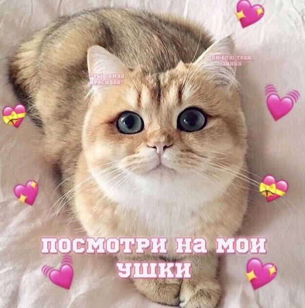 рест//Райден Эи пригласит тебя в царство Эвтюмии (@eiwillhugu) on Twitter photo 