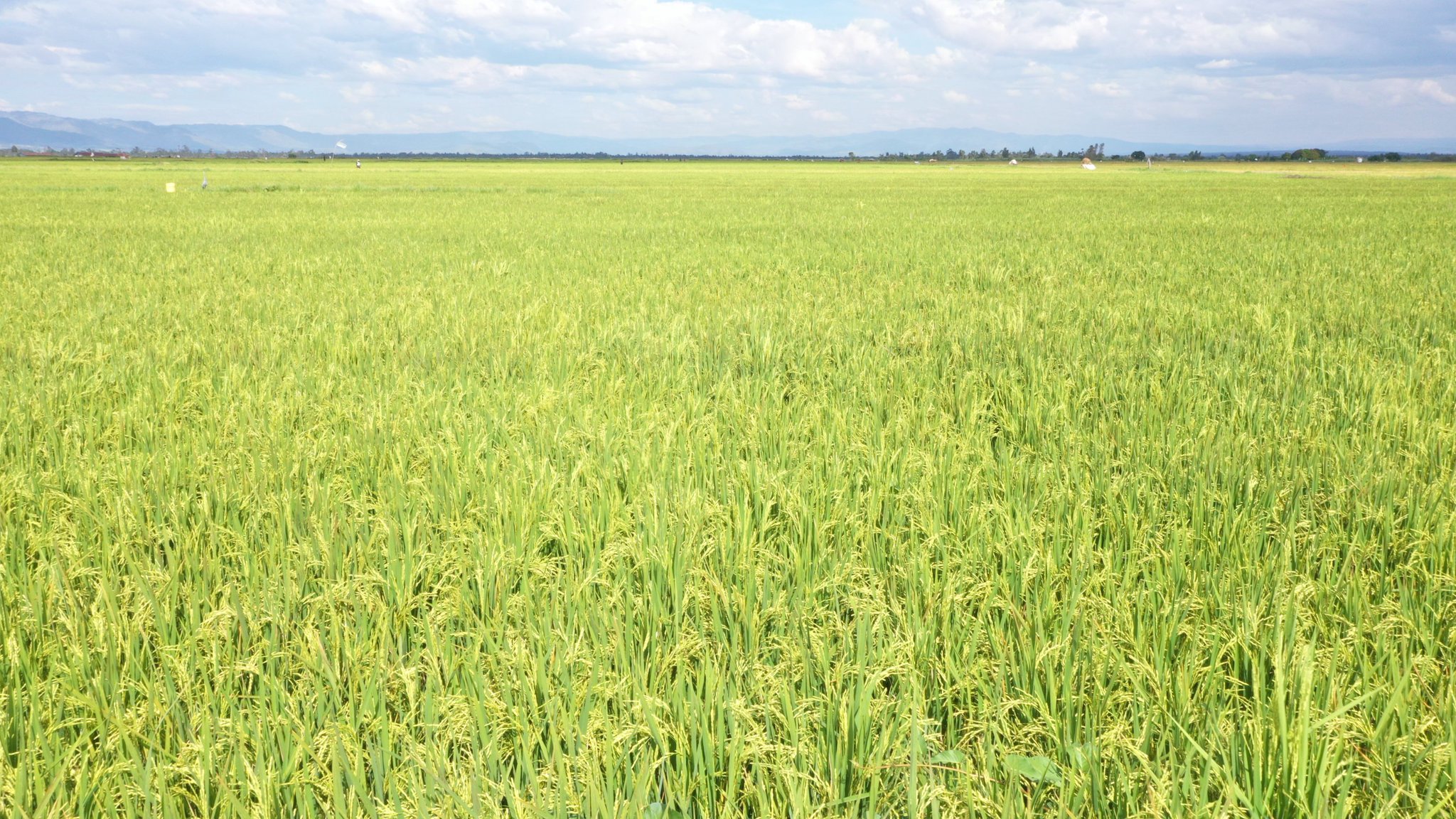 National Irrigation Authority on Twitter: 