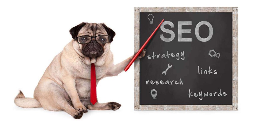 BANGwsd's tweet image. You will never make it to the top of the local search results if Google sees incomplete or inconsistent business profiles.

Read the full article: Veterinary SEO: 5 Easy Tips to Boost Your Local Search Rankings
▸ lttr.ai/vKXH

#Veterinarian #LocalSearchRankings