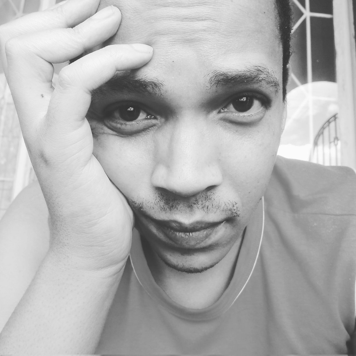 Panda11Bran's tweet photo. #NewProfilePic https://t.co/5T5CdY1nWu