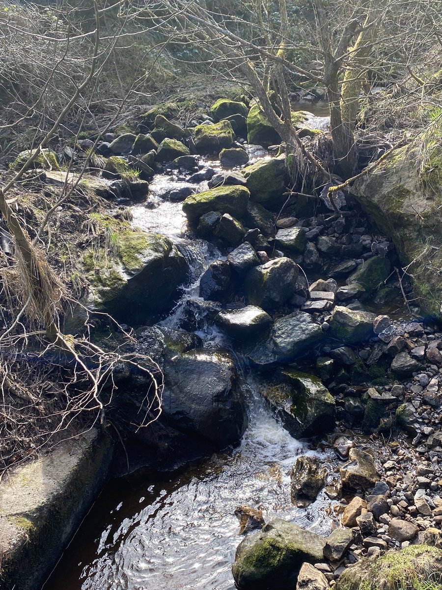 Photos of another part of the Central Belt Way around Falkirk Wheel. one-walk-scotland.com