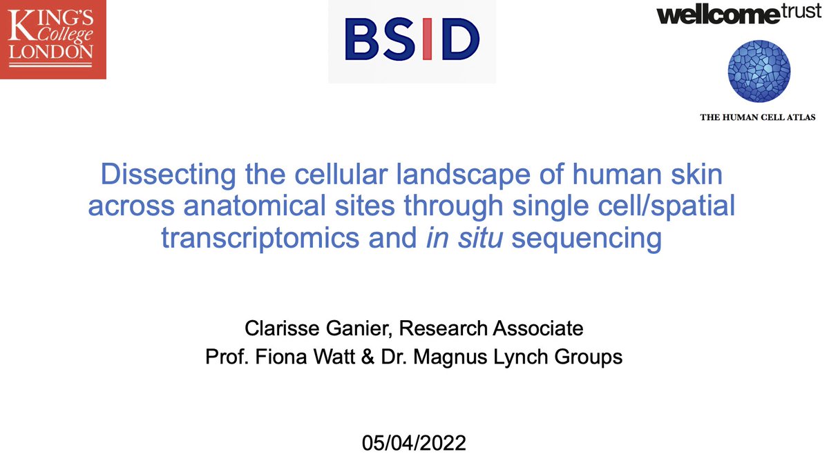 I had the pleasure of presenting my work about the cellular landscape of human skin across body sites at the #BSID2022. Thanks @derm_scientist and many other in the #BSID board for this wonderful organization. Great science and great people. Looking forward to next year.