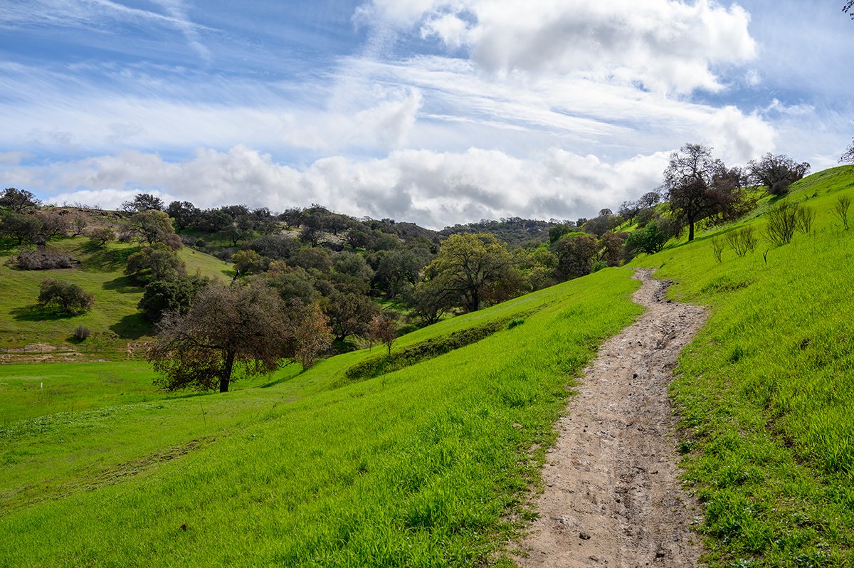 SaveMountDiablo's tweet photo. Join @WCLibraryFound’s Live! From the Library series on April 12 for a panel examining the climate crisis and how local parks and land conservation efforts offer important tools in addressing the crisis.
Learn more: https://t.co/XQQ0Zz8oeK
📸: Scott Hein
#SaveMountDiablo https://t.co/3kG8jZmgeU