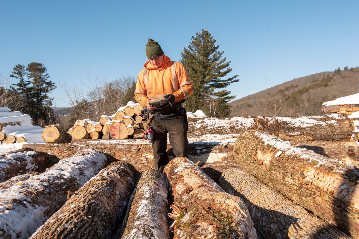 Long View Forest takes an integrated approach to forest management offering logging, forestry consulting, and woodland services under one roof. It’s a model they believe will provide continuity and stability to Vermont forests. ow.ly/SzYe50IrwRK #ThinkVT #VermontWood