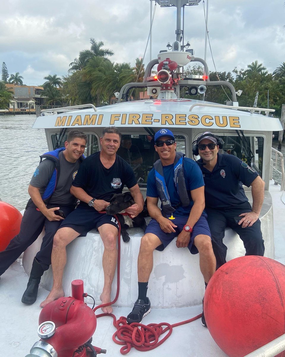 CityofMiamiFire's tweet photo. Today, #mfr responded to Belle Meade for a dog in distress in the water. Fireboat crew member Rudy Gil jumped into the water and saved her. Neighbors say she had been barking for hours. Other than exhaustion she seems to be in good health! https://t.co/QrJ4tCIdC4